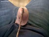 Crazy insertion video footage features a dude with a worm wiggling out of his cock